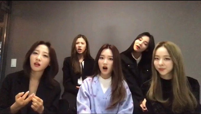 they look very liddle and pretty
