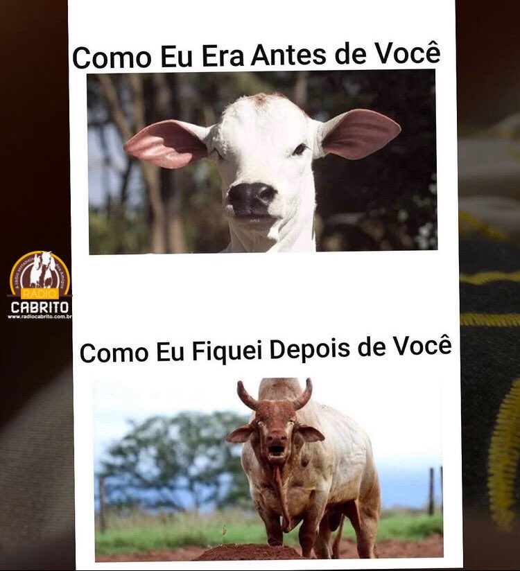 rcabrito's tweet photo. É a vida meus amigos! 😂🐂

Bom dia a todos nós! 

Baixe agora nosso aplicativo ⬇️
Para android: https://t.co/ptIXSLOSnc
Para Apple: https://t.co/NdGKTSf918 

Nosso site: https://t.co/2YLc6YLsze 
#radiocabrito #radiosertanejadosamigos #aplicativo #celular #apple #android #modao https://t.co/IvaqyrcOvA