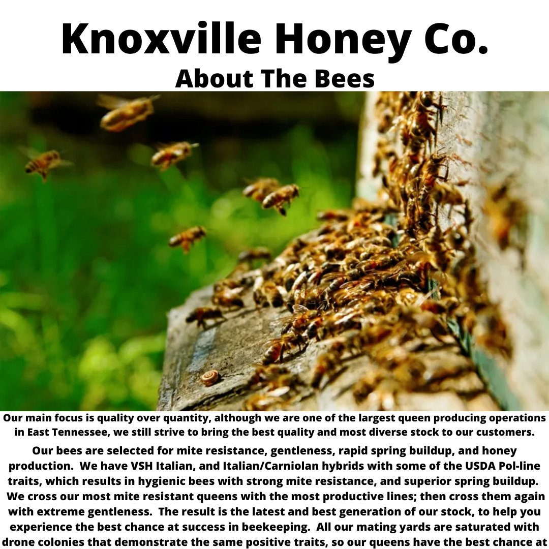 McCartneyFresh's tweet image. Sweet New Items Available Now! - mailchi.mp/0a70bb826203/s…