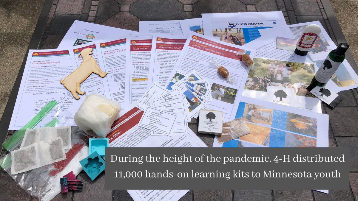 MN4H's tweet photo. We created&amp;distributed over 11,000 hands-on learning kits 2 youth who didn't have regular access to school &amp; enrichment programs. @UMNExt educators ensure consistent &amp; accessible learning for all #MN youth @olmstedcounty @StCloudMinn https://t.co/7oMETXMbZf #mnleg #UMNExtWorks https://t.co/r9KX2rDVuF