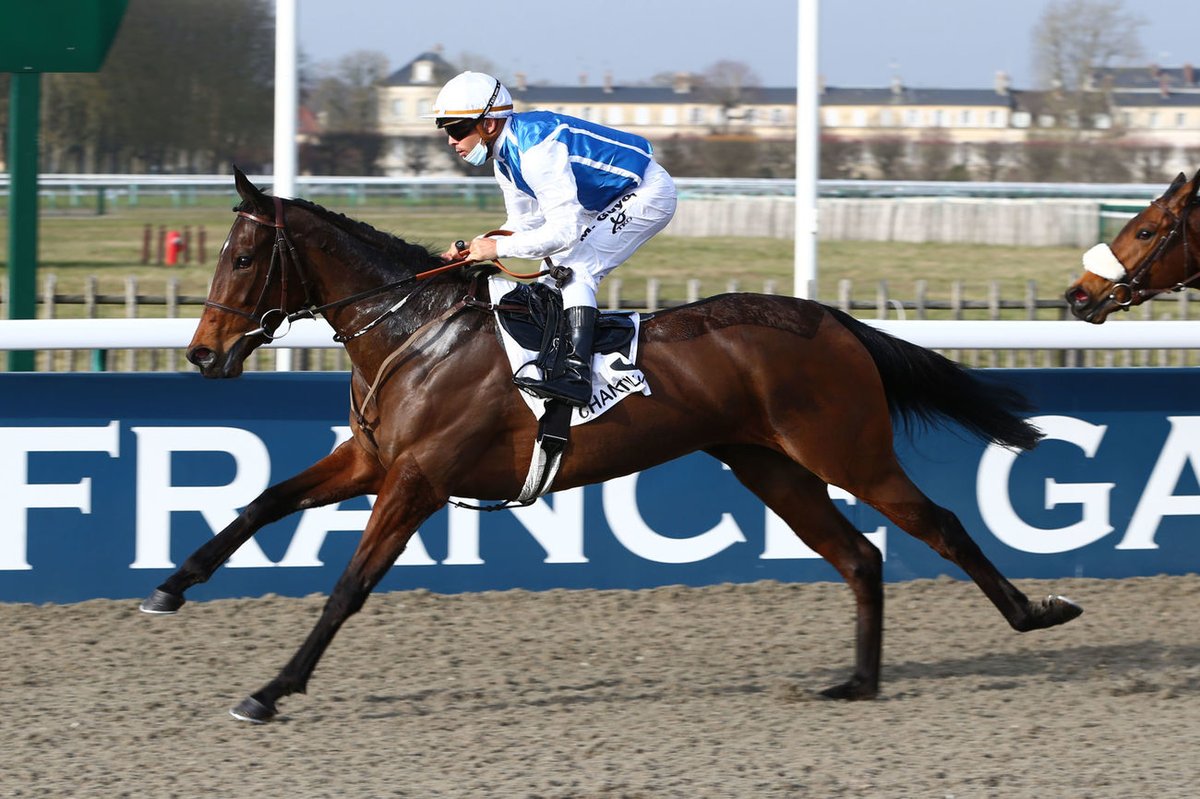 La petite sœur de Left Hand, NOHAND (Dansili), a été impressionnante dans le Prix du Soissonnais (Inédites) à <a href="/fgchantilly/">FG Chantilly</a>. Elle appartient à <a href="/WertheimerSales/">Wertheimer Sales</a> et est entraînée par André Fabre. <a href="/maximeguyon_off/">Maxime Guyon</a> 
📸<a href="/ScoopDyga/">ScoopDyga</a>