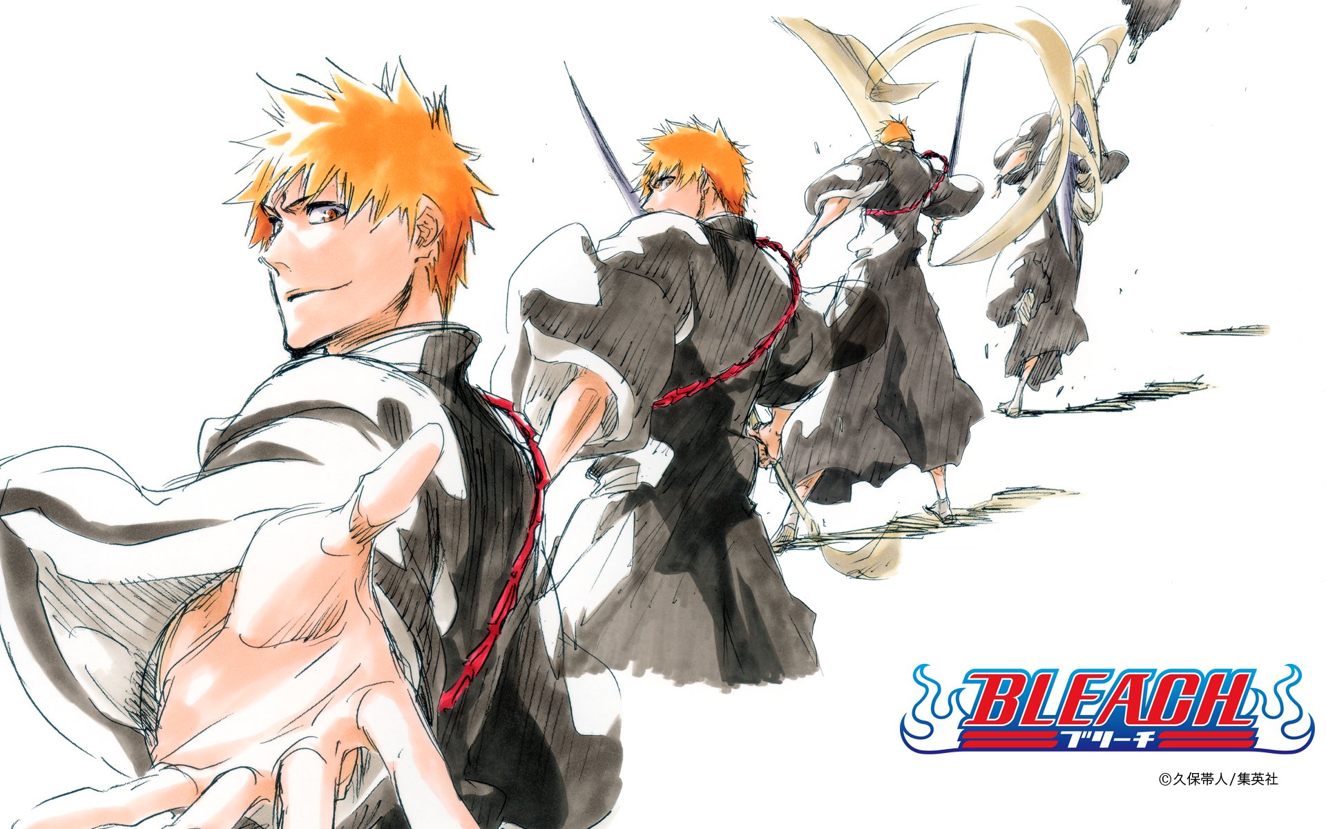 Bleach Universe