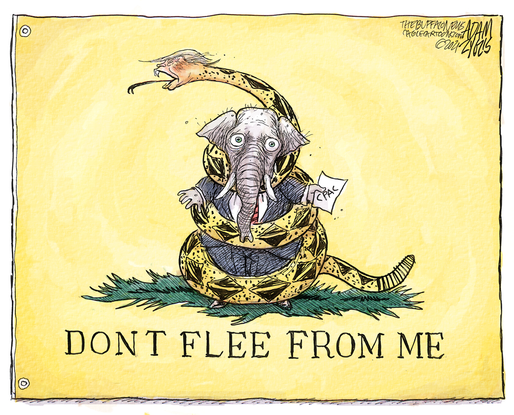 EvfTA-vXcAYVBIr?format=jpg&name=medium