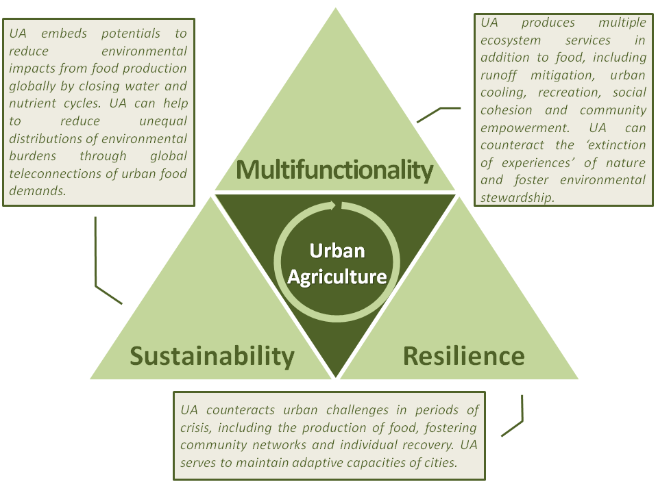 JLangemeyer's tweet photo. #UrbanAgriculture — A necessary pathway towards #UrbanResilience and global sustainability? ✴️Download our new article here: https://t.co/dewoNwN0Qb @URBAG_ICTA @INTERLACE_NBS @Laseg_ICTA @ICTA_UAB https://t.co/CX0P8B0VvS