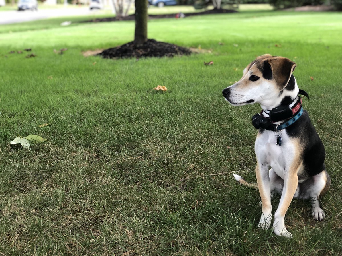 Superintendent Network tweet media