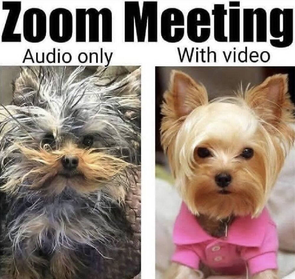 Dear Ad Agencies, Please stop using doorbells in your TV commercials