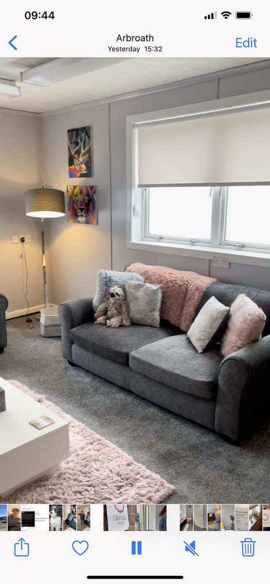 Glenislaproject tweet media