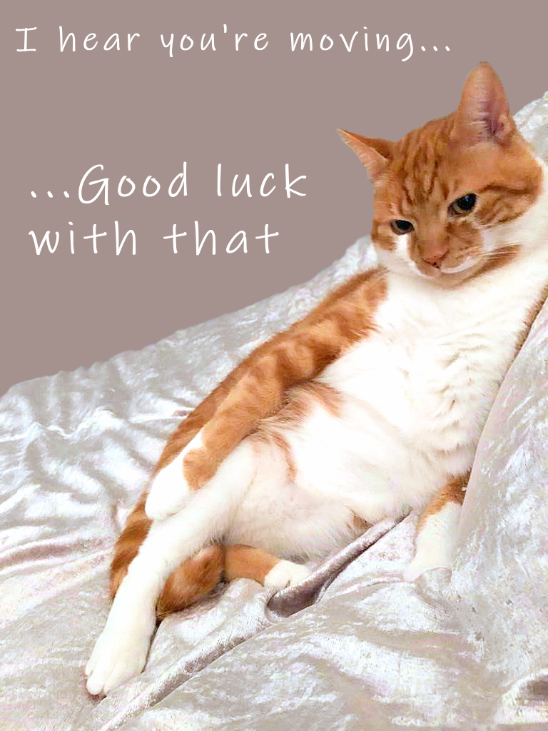 whpovoasltd's tweet image. Hi all, big news, we are moving to larger premises later this month. More updates to follow, check whpovoas.co.uk and our socials. #excited