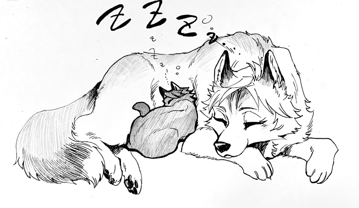 ディノ狼とブラ猫のディノブラ 