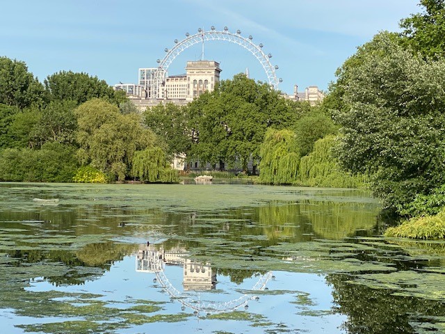 MoreySmith tweet media