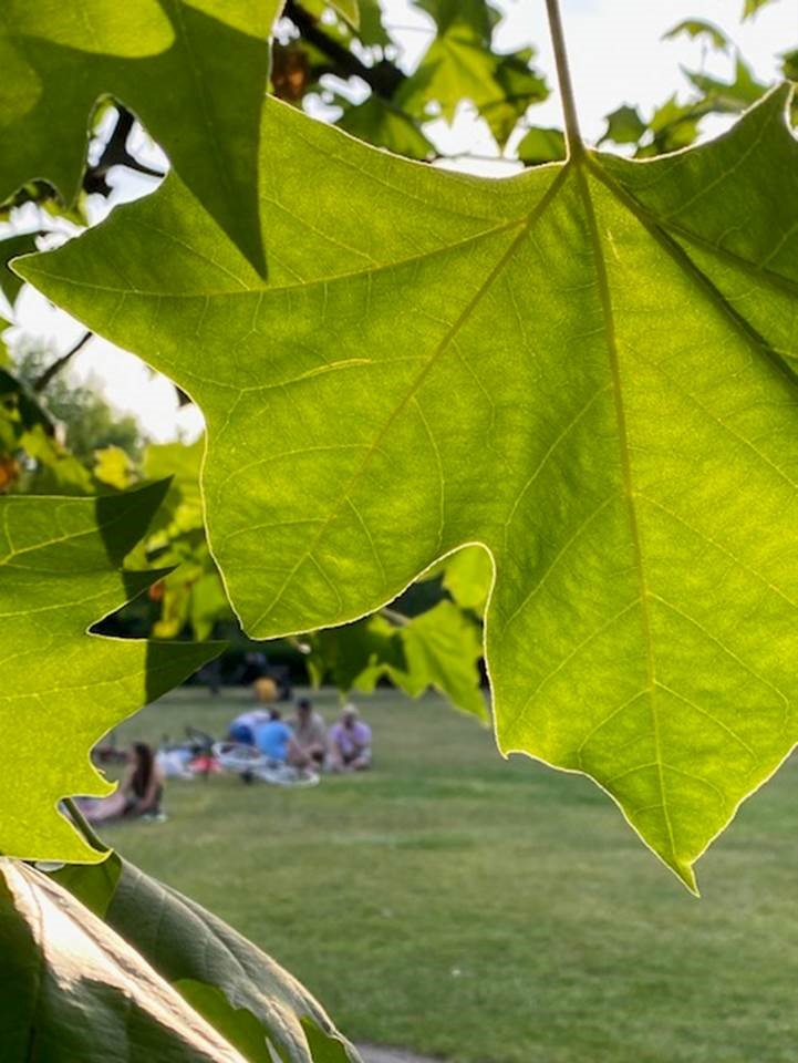 MoreySmith tweet media