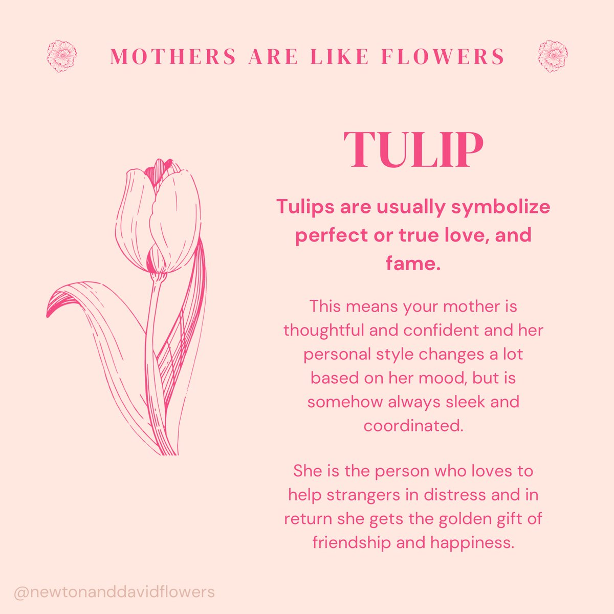 Newtonanddavid's tweet photo. Is your mother like a tulip 🌷? 

During the Mother’s Day season we are starting a series of posts called “Mother’s Are Like Flowers” which relates the beauty and personality of our mothers to flowers! Comment if you’re mom is like a Tulip! 🌷 https://t.co/hx1m2h4osv