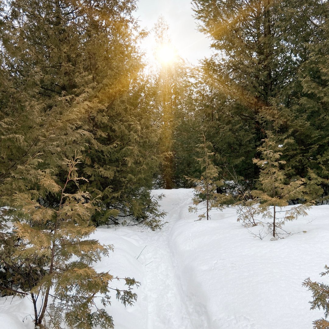 We are starting to see the light as we slowly come out of this lockdown! ☀️

As of March 1st Niagara has moved into the Red Zone.This allows us to finally reopen. We are currently working with our winery partners to understand their protocols so we can start safely touring gu