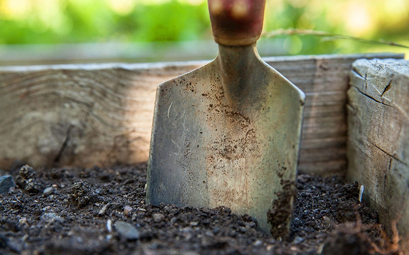 eartheasy's tweet photo. We're revisiting our favorite horticulturalist's advice about garden soil. Learn how to assess yours for organic matter and pH balance before the season starts. Nothing supports a vegetable crop like healthy, vibrant soil. https://t.co/bC2LJmXRom #gardeningtips #gardensoil https://t.co/3rVYKtjUNW