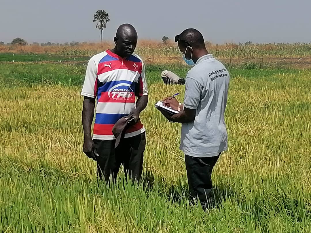 Smallholder farmers in Demsa LGA have been supported with seeds and water pump machines for dry season farming. <a href="/CiSCOPENigeria/">CiSCOPE Nigeria</a> visited farms of beneficiaries, their crops are developing well and the farmers are satisfied. This was made possible with support from @presbyhunger