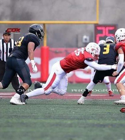 Linces México tweet media