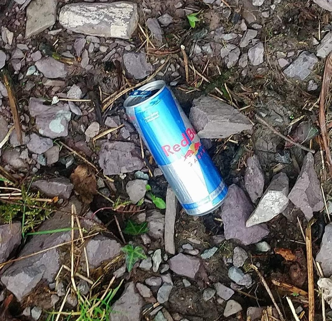 CahersiveenTidyTowns tweet media