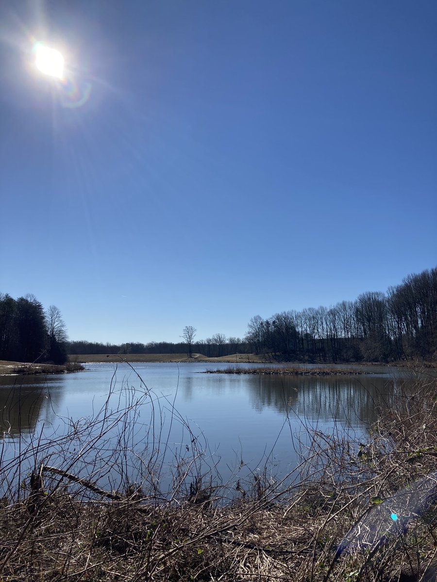 DianeWillen's tweet photo. Sunny Days in VA ....
@fairfaxparks 
#royallake
#outdoors 
#Virginia https://t.co/gsT30hdrqU