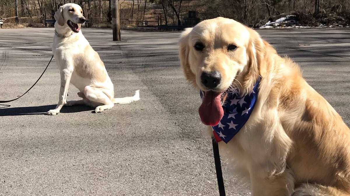 American Humane Presents Pet Food Pantry OKC with Feed the Hungry Grant American Humane