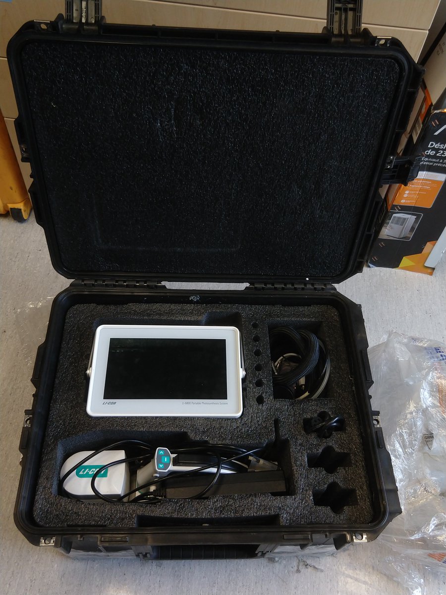 Sean Michaletz tweet media