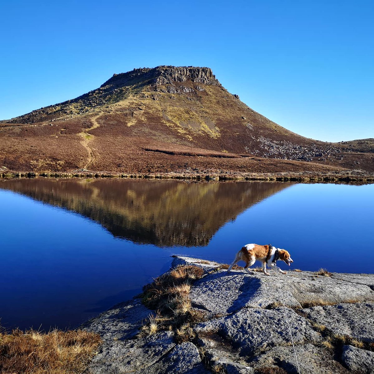 RaasayHouse's tweet photo. You can't really beat Dun Caan for walkies on a sunny day. We hope that you're all enjoying this nicer weather too. 🌞

#raasay #isleofraasay #isleofskye #duncaan #walkies🐾 #dogfriendlyhotel #tuesday #sunnyday #outdooradventures #myskyetime https://t.co/BQuS2ad8nu