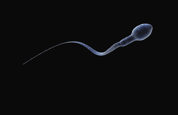 HEY CHECK OUT THIS OLD PICTURE OF ME! https://t.co/BaNkzwSiHT<a href="/tag/onlyfans"class="tags"><span>#onlyfans</span></a>