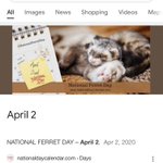 Photo by why you should have a ferret (@HaveAFerret)