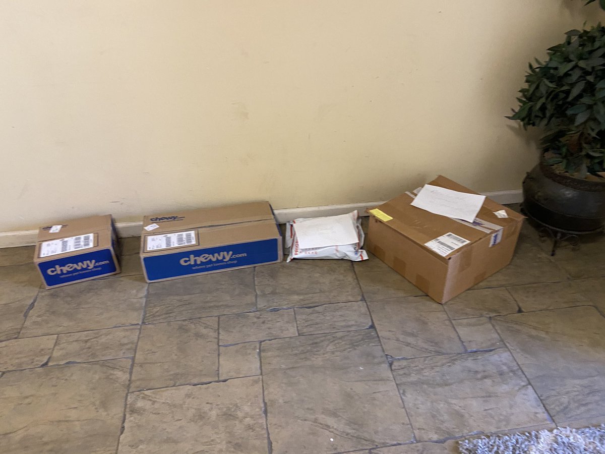 youralicat's tweet photo. On Saturday @USPS sent me a confirmation that my package pickup request had been completed. Just went downstairs and they (the 2 on the right) were still sitting there. The 2 on the left were just delivered today. Called the local office 4x today &amp; nobody has picked up. @uspshelp https://t.co/QLZ4KYajfH