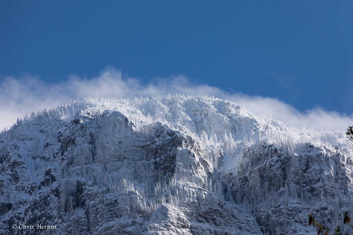 ChrisHerpin's tweet photo. #glaciernationalpark #montana #PicOfTheDay #mountains #snowday #landscapephotography #MontanaMoment #winter #snow https://t.co/TE4vwYcnun