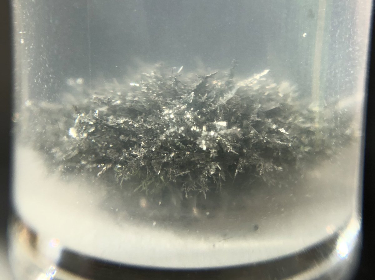 EllieRocksSpace's tweet photo. I made a tin hedgehog from my Mel Science kit! The tin in the solution attached to the zinc because of electrons. It was fun to watch it get bigger! 🧪 👩‍🔬🌙💫🛰🛩🛫☄️🌠👽🤖👩‍🚀 https://t.co/e9KeczY7EH