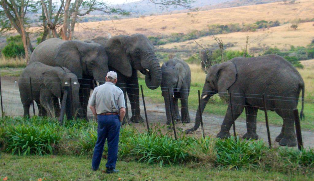 ThulaThulaFund's tweet image. Lawrence Anthony 
17 September 1950 - 2 March 2012. 

This photo was taken 9 years ago at Main House by Francoise, who has dedicated her life to fulfilling his legacy and dreams which will forever live on at Thula Thula.

Remembering you today ♥️
@THULATHULA1
