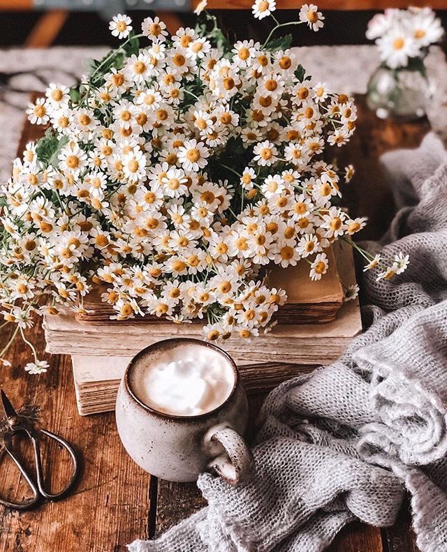 art (@artsunsettt) on Twitter photo 