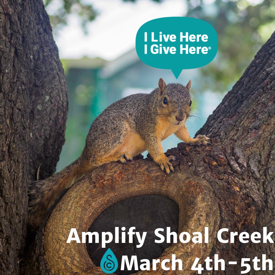shoalcc's tweet photo. The 11-mile long Shoal Creek corridor is a major urban ecosystem that promotes habitat connectivity for species between Austin’s green spaces. When you support @shoalcc, you amplify our work to conserve and increase biodiversity in the heart of Austin. https://t.co/j0plCdGm39 https://t.co/MZgkHb7elf