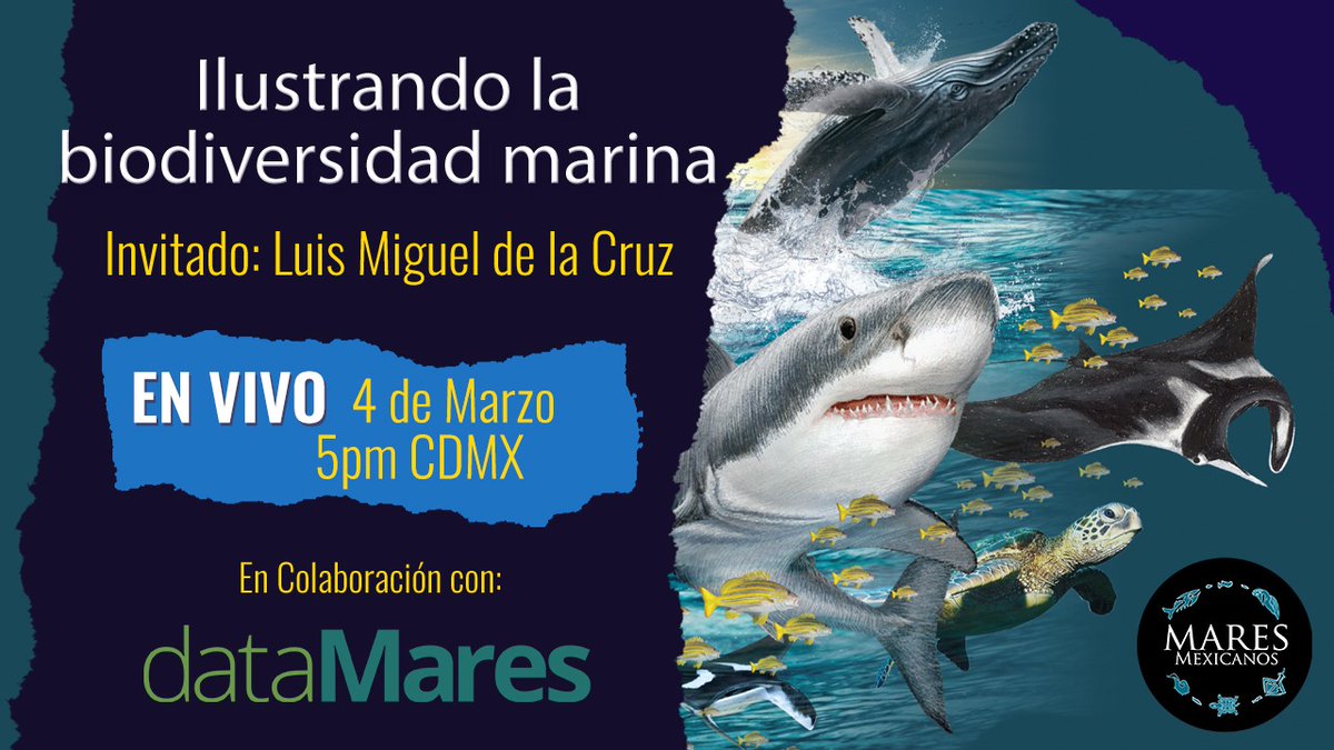dataMares's tweet photo. #EnVivo este jueves la charla de nuestro Director de Arte, Luis Miguel de la Cruz, en la emisión de @maresmexicanos con @octavioaburto.
📅 jueves, 4 de marzo
📍 https://t.co/AUUGtBKwHb https://t.co/e95ms28n2H