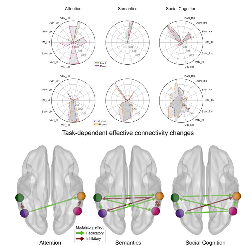 danilobzdok's tweet image. Congrats to Ole from @GesaHartwigsen lab at @MPI_CBS for his new @eLife article:

We revisit brain #lateralization in the IPL using pattern learning, nonparametric permutation testing and dynamic causal modeling in task responses

researchgate.net/publication/34…

elifesciences.org/articles/63591