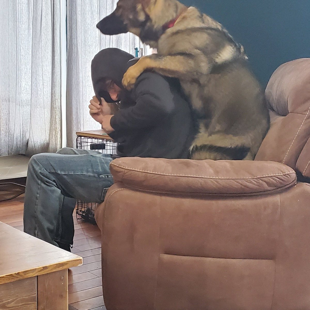 gunner_with's tweet photo. My ritual when my dad try to put his shoes on cause I know we are leaving for somewhere. https://t.co/IuGd0nkInZ
