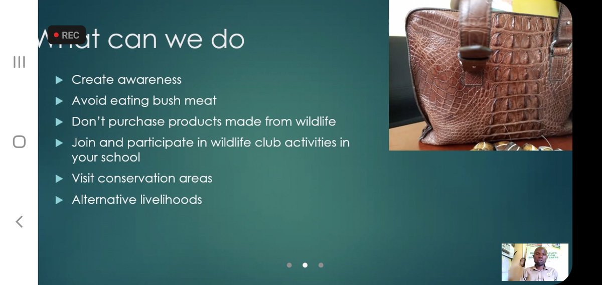 eduoceans's tweet photo. So proud of the educators at @UWEC_EntebbeZoo. Their #WildlifePoaching webinar with schools today was a great way to share their #natureconnect conservation message. Just loved the kids questions. #conservcomm @EducatorsIz @waza @DisneyConserves https://t.co/AcpCiFa4Jv