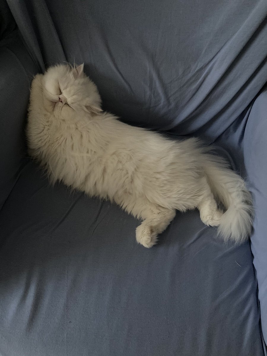 Profildeki linkten yardım edermısınız 50 kişinin 40tl sine ihtiyacımız var 🙏😔