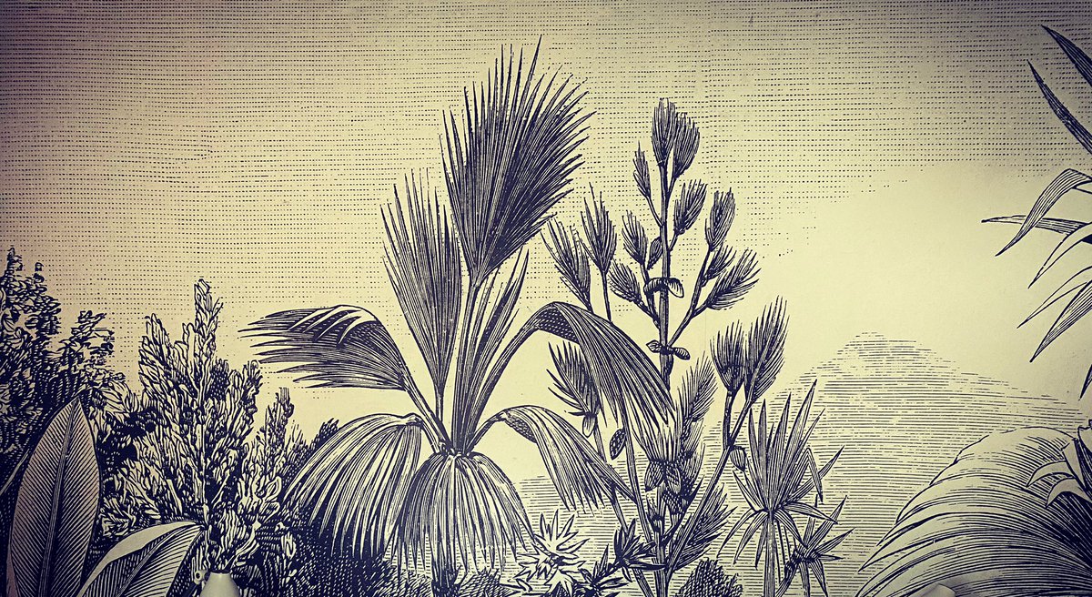 LicknSticker's tweet image. Time for a change? Why not choose an image you like and transform it into a personalised #wallpaper. With our range of pre pasted wallpapers transforming your home or office literally could not be easier! #wallpaperdecor #wallpaperdesign #brandingeverywhere