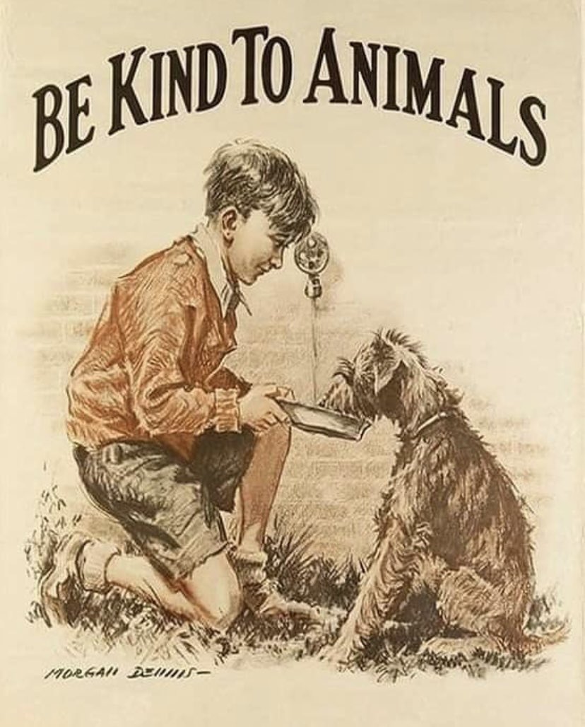 A very simple message. If only we could all take note and apply it in everyday life . That would be grand 💚❤️
