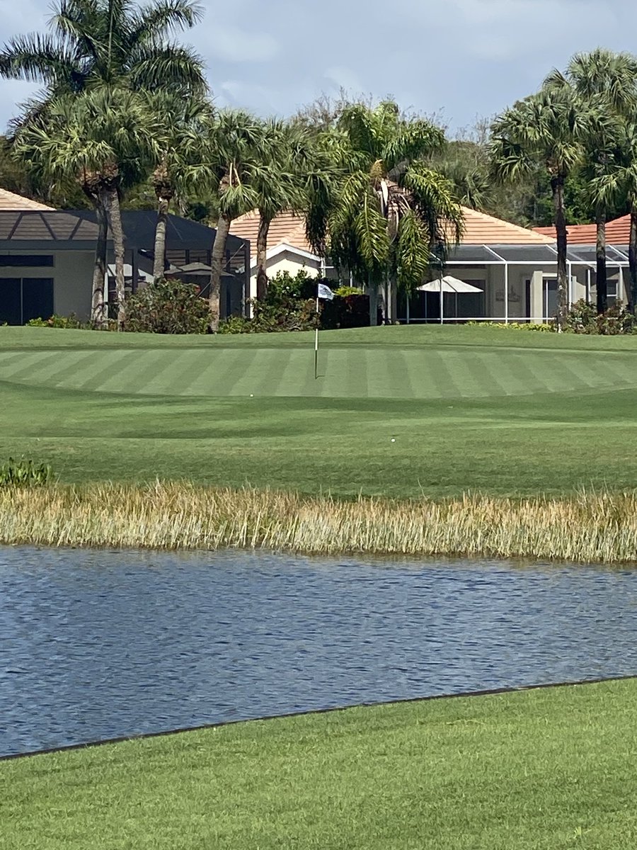 One more because I forgot to  tag ⁦<a href="/JordanNemitz/">Jordan Nemitz</a>⁩ #Perfectionists