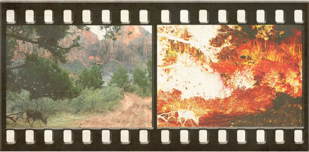 It is deep into our negative life strip where we can unveil the life that matters amongst the obvious path. 

👉youtube.com/watch?v=oESDuB…

#lifestyle #mountain #music #ArtistOnTwitter #NotMovingOn  #LaResistencia #butterflyeffect #Revolutionofminds #innovation  #freedom #nextgen