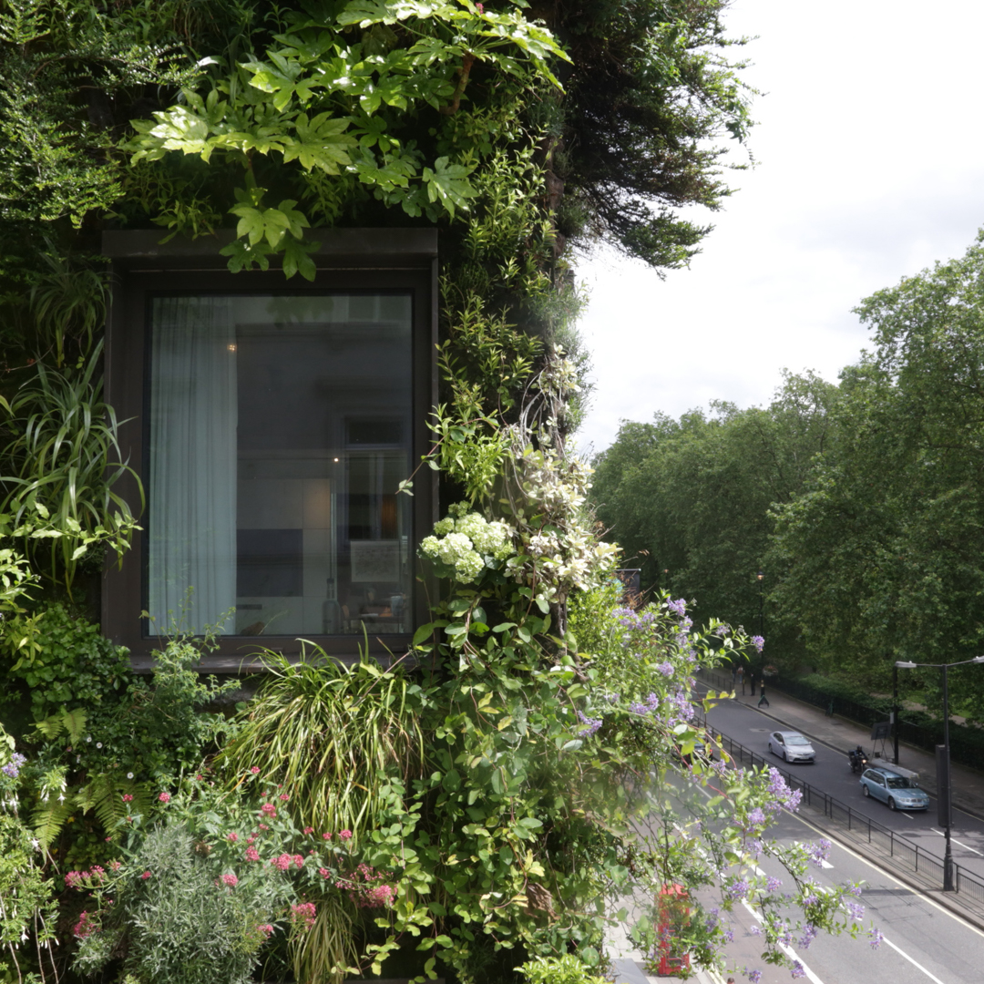 TheAthenaeum's tweet photo. We are here for the longer and brighter days
.
.
.
#athenaeumlife #theathenaeumhotel #livingwall #london #piccadilly #greenpark #londonparks https://t.co/kKNtz3JhIT