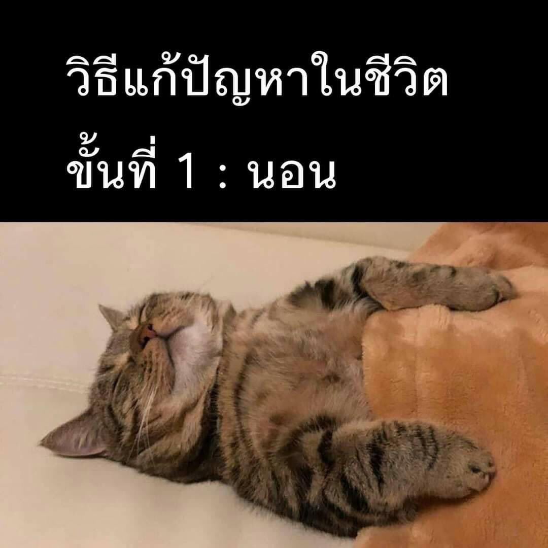 มีใครเป็นแบบเราปะ55555555555555555