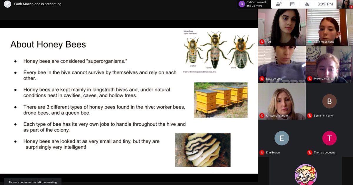 pvhsPAW's tweet photo. Thank you to Faith Macchione for presenting to our club about PV's Beekeeping program and the importance of the honeybee in our world. We learned so much! 🐝🍯 https://t.co/M2ewDhu2Mi
