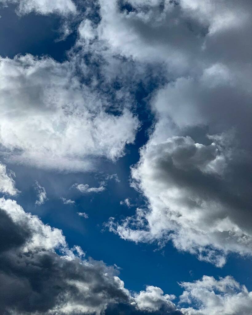 foykes's tweet photo. О, неужели голубое небо 61/365 https://t.co/qP6Eprt23R https://t.co/YCLQlXuNd5