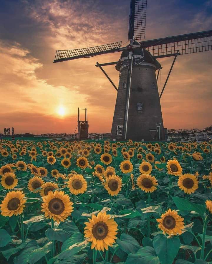 nikipitic (@nikipitik) on Twitter photo 