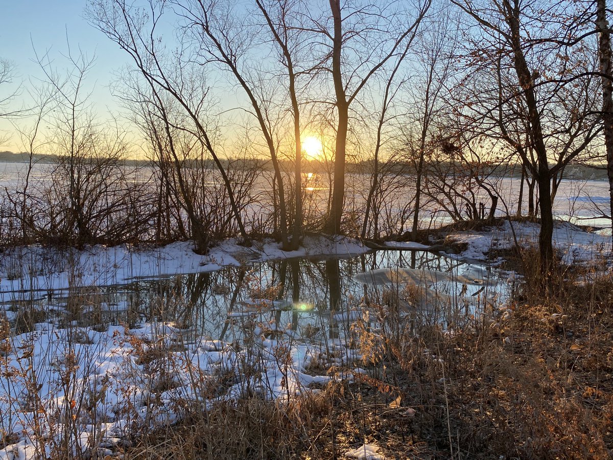 R_T_Rybak's tweet image. People who don’t live in Minnesota will probably never know why a 45 degree day in early March is so beautiful