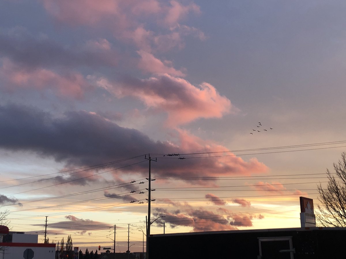 MFLevel's tweet image. The sunset was beautiful today.