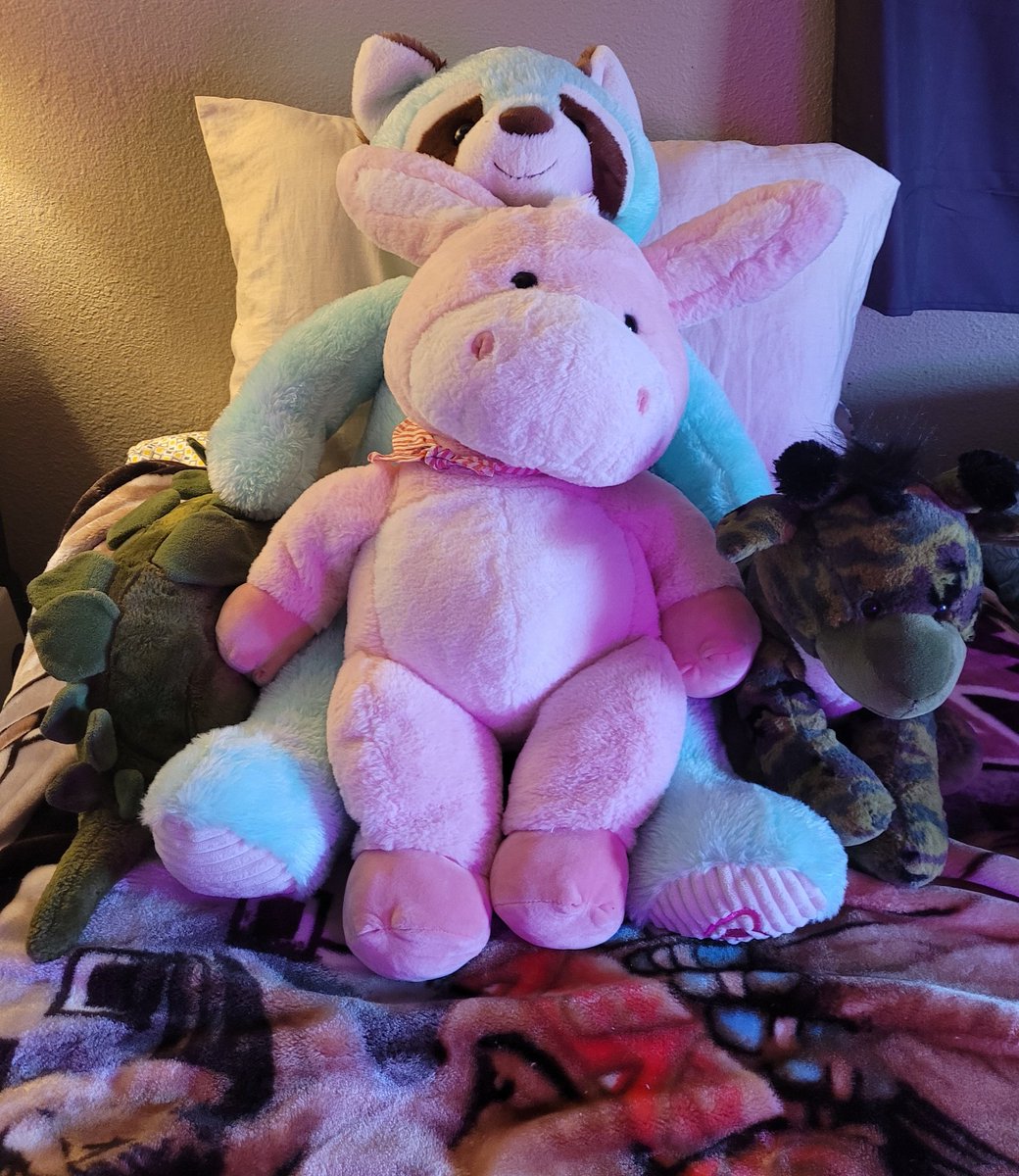 rattley0te's tweet image. I made a little family out of the plushies that are currently on my bed
.
.
#plush #plushy #plushys #stuffies #stuffy #stuffedanimal